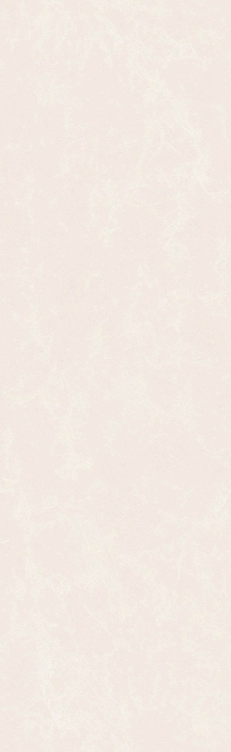頂級白玉蘭